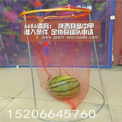 6686体育官网